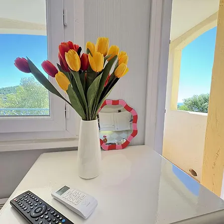 Cabine, Clim, Vue - 4 Pers. - Fr-1-226-570 * Roquebrune-sur Argens
